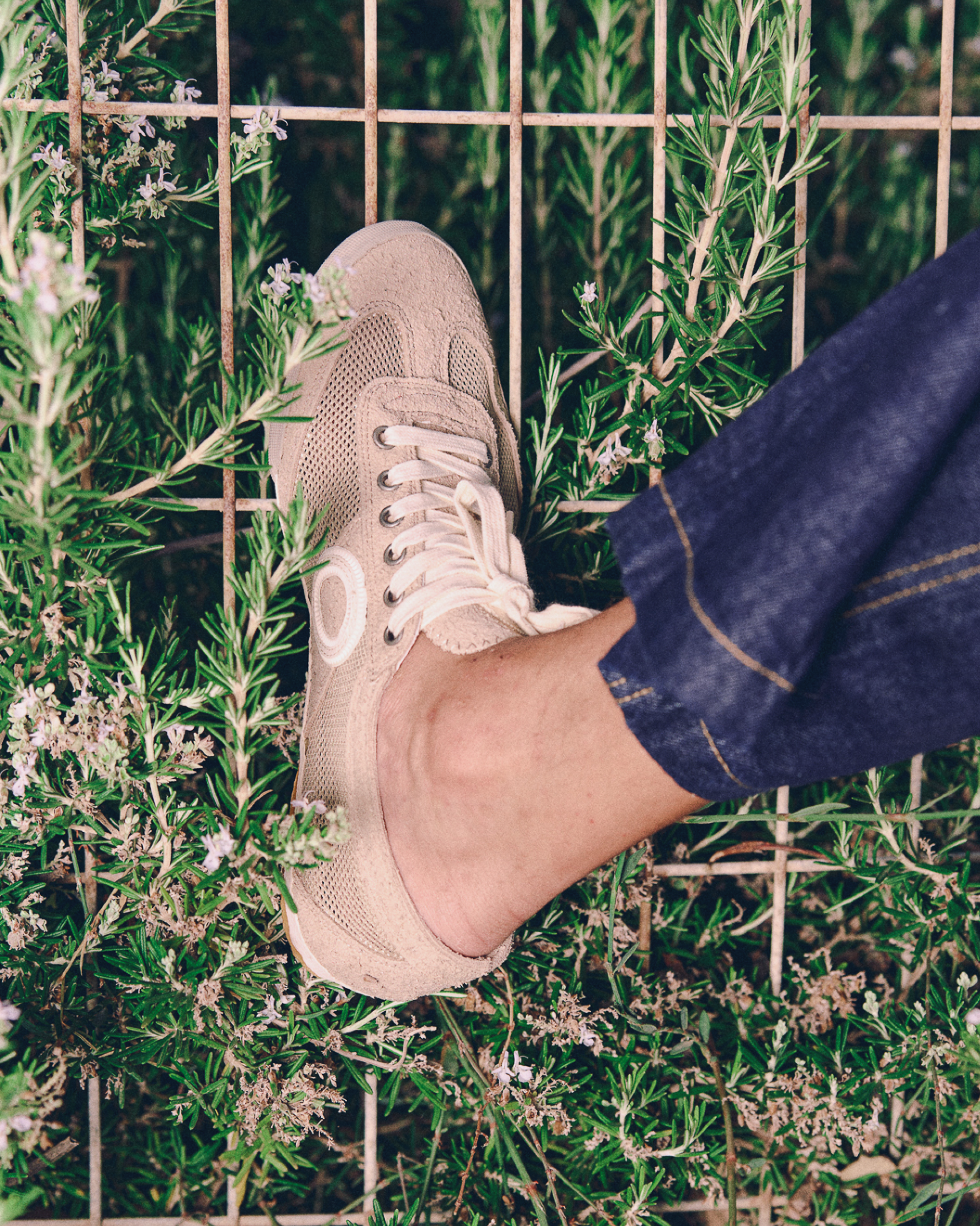 Joaneta Krust-Hazelnut